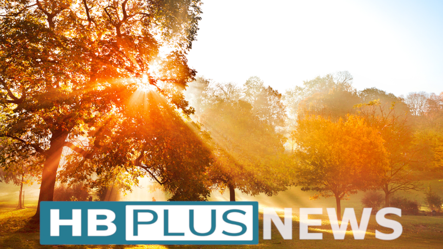 Oktober Keyvisual Oktober Keyvisual