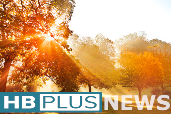 Oktober News